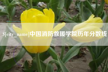 武夷山中国消防救援学院历年分数线