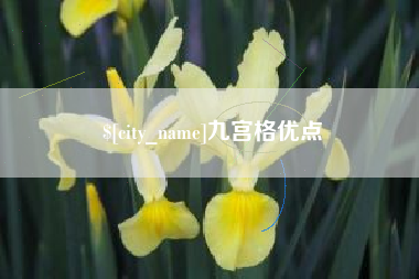 武夷山九宫格优点