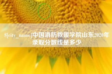 武夷山中国消防救援学院山东2020年录取分数线是多少