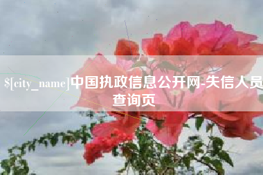 武夷山中国执政信息公开网-失信人员查询页