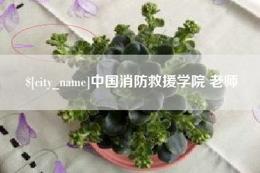 武夷山中国消防救援学院 老师