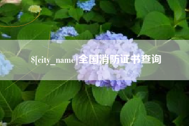 武夷山全国消防证书查询