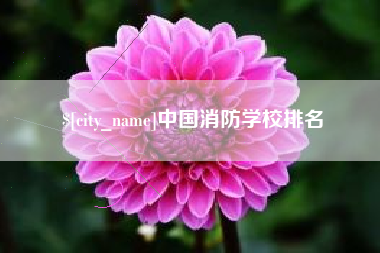 武夷山中国消防学校排名