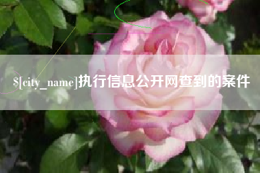 武夷山执行信息公开网查到的案件