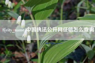 武夷山中国执法公开网征信怎么查询