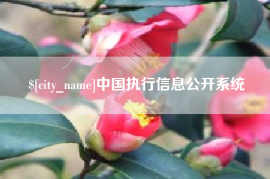 武夷山中国执行信息公开系统