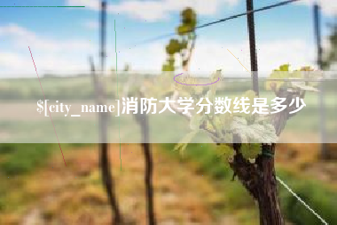 武夷山消防大学分数线是多少