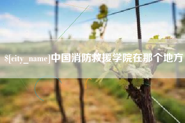 武夷山中国消防救援学院在那个地方