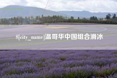 武夷山温哥华中国组合滑冰