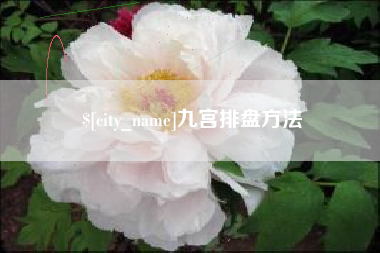武夷山九宫排盘方法