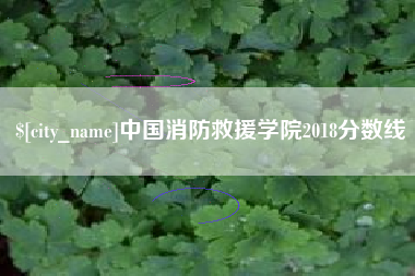 武夷山中国消防救援学院2018分数线