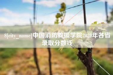 武夷山中国消防救援学院2020年各省录取分数线