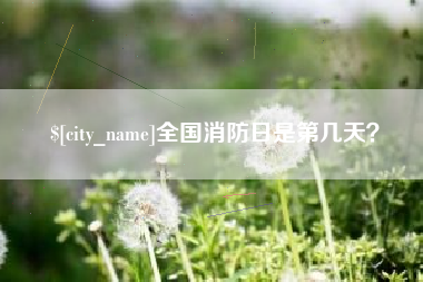 武夷山全国消防日是第几天？