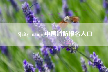 武夷山中国消防报名入口