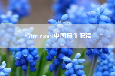 武夷山中国最牛保镖