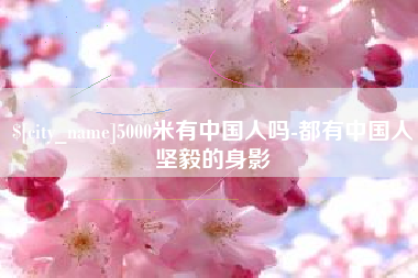 武夷山5000米有中国人吗-都有中国人坚毅的身影