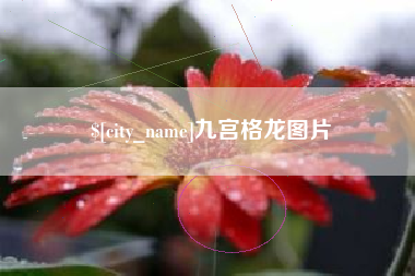 武夷山九宫格龙图片