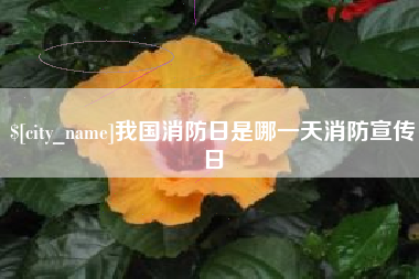 武夷山我国消防日是哪一天消防宣传日