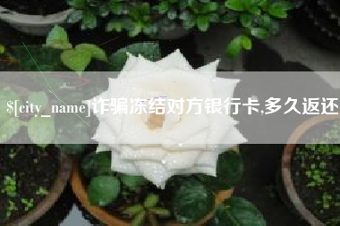 武夷山诈骗冻结对方银行卡,多久返还