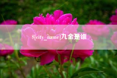 武夷山九金是谁