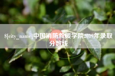 武夷山中国消防救援学院2019年录取分数线