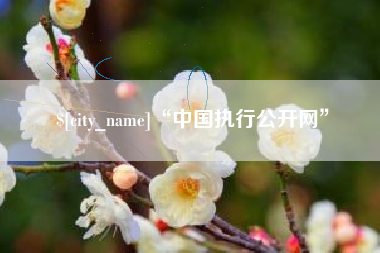 武夷山“中国执行公开网”