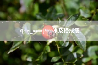 武夷山5000米及格成绩