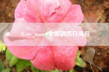 武夷山全国消防日海报