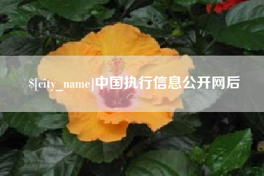 武夷山中国执行信息公开网后