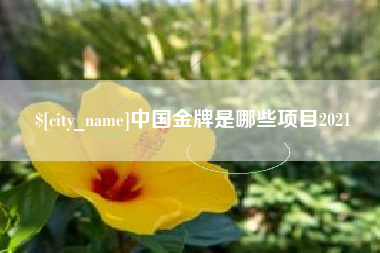 武夷山中国金牌是哪些项目2021