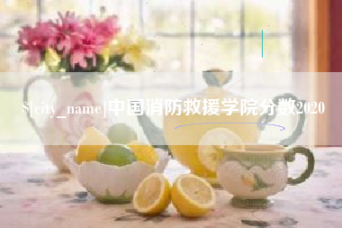 武夷山中国消防救援学院分数2020