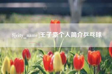 武夷山王子豪个人简介乒乓球