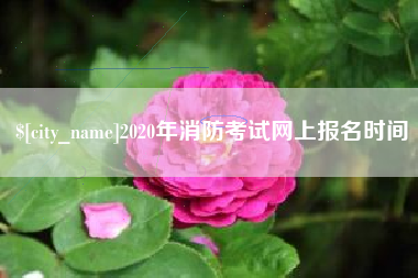 武夷山2020年消防考试网上报名时间