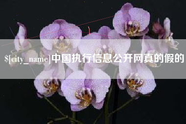 武夷山中国执行信息公开网真的假的