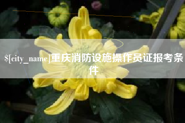 武夷山重庆消防设施操作员证报考条件