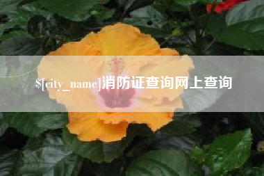 武夷山消防证查询网上查询