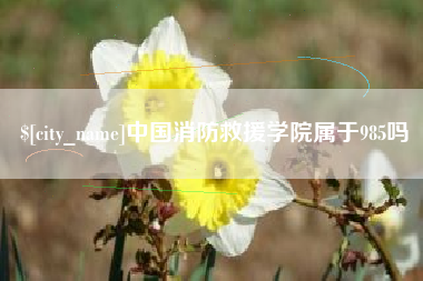 武夷山中国消防救援学院属于985吗
