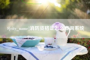 武夷山消防资格证怎么查询系统