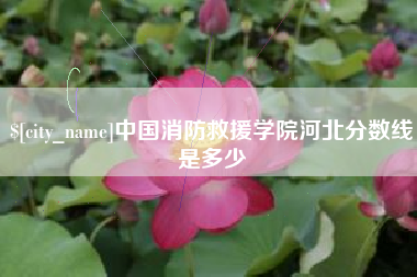 武夷山中国消防救援学院河北分数线是多少