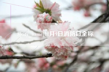 武夷山11月9日消防日全称