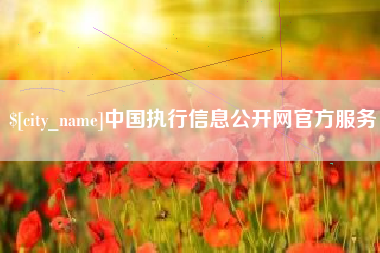 武夷山中国执行信息公开网官方服务