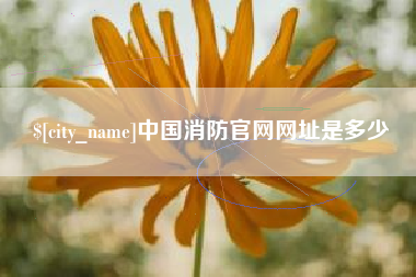 武夷山中国消防官网网址是多少