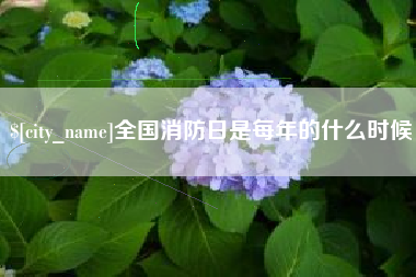 武夷山全国消防日是每年的什么时候