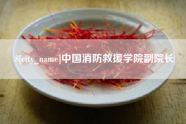 武夷山中国消防救援学院副院长