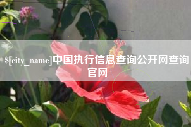 武夷山中国执行信息查询公开网查询官网