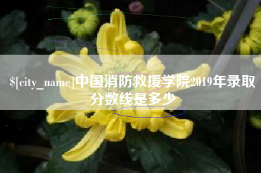 武夷山中国消防救援学院2019年录取分数线是多少