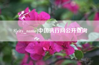 武夷山中国执行网公开查询
