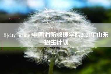 武夷山中国消防救援学院2021年山东招生计划