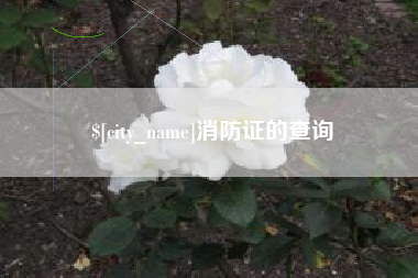 武夷山消防证的查询