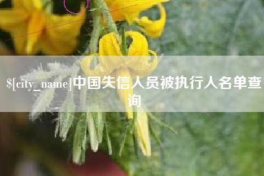 武夷山中国失信人员被执行人名单查询